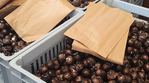 En vidéo : liquidation totale à la Chocolaterie de Bourgogne
